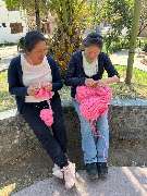 alpakastrick - GALLERY