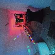 Alsfeld Weinkeller - Bar & Drinks - GALLERY