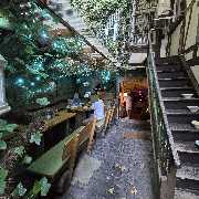 Alsfeld Weinkeller - Bar & Drinks - Gemütliche Weinlaube