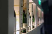 Alte Galerie - GALLERY