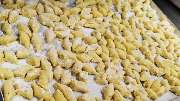 Alte Kanzlei - Hausgemachte Pasta - immer frisch in Wangen
Für Ihr Abendessen in Wangen bereiten wir in unserem Restaurant die Pasta immer frisch zu. Gnocchi hausgemacht mit einer feinen Soße ist einfach ein Highlight.