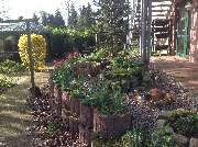 Alten- und Pflegeheim 