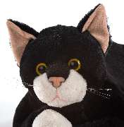 RobiCare Blacky