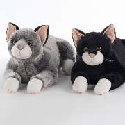 RobiCare Lucky und Blakcy