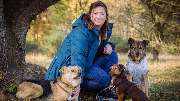 Altländer Hunde - GALLERY