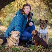 Altländer Hunde - GALLERY