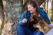 Altländer Hunde - GALLERY