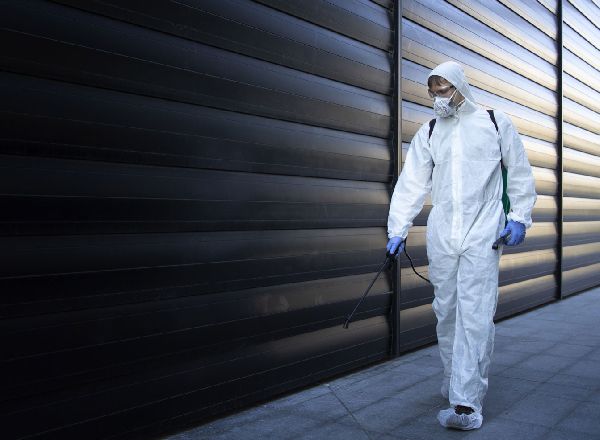 AM – Schädlingsbekämpfung - GALLERY