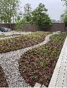 Ambiente GaLa-Bau UG - GALLERY