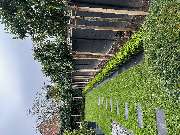 Ambiente GaLa-Bau UG - GALLERY