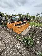 AMS Dienstleistungen - GALLERY