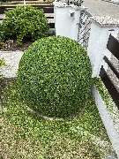 AMS Dienstleistungen - GALLERY