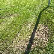 AMS Dienstleistungen - GALLERY