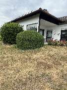 AMS Dienstleistungen - GALLERY