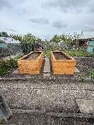 AMS Dienstleistungen - GALLERY