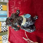 An & Verkauf - GALLERY