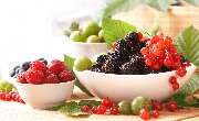 Anamaria Hager Chronobiologisches Ernährungstraining - ANAMARIA HAGER - Chronobiologisches Ernährungstraining (CbE) ist die führende Anlaufstelle für eine natürliche und individuelle Ernährungsoptimierung. Durch das wissenschaftlich fundierte CbE-Konzept 