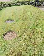 Andreas Meyer GaLa-Bau - 8