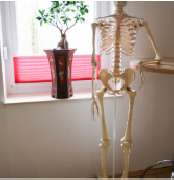 Andrea's Physiotherapie Andrea Guth - GALLERY