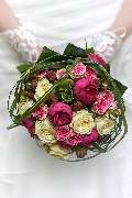 Anette Braun rosenrot flowers & more - GALLERY
