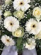 Anette Braun rosenrot flowers & more - GALLERY