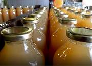 Angelika Thierschmann Lohnmosterei - GALLERY