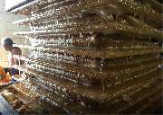 Angelika Thierschmann Lohnmosterei - GALLERY