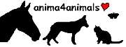 anima4animals - 1