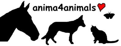 anima4animals - 1