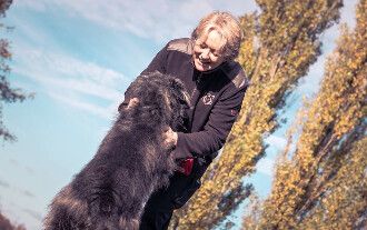anima4animals - 3