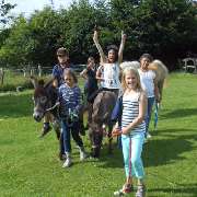 Animal Farm in Hellingst
