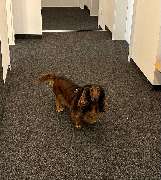 Anita Lagleder Hausverwaltung - GALLERY