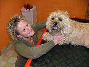 Anjas Hundepflege - 5