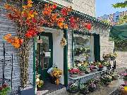 Anna Binar Floristik - 2