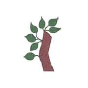 Antonius-Apotheke Schemmerhofen - Logo der Antonius-Apotheke Schemmerhofen