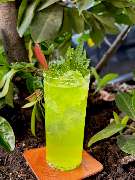 Antony's Bar - Frankfurt am Main - GALLERY