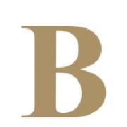 Anwaltskanzlei Prof. Dr. Petra Berens - Geschäftslogo Petra Berens