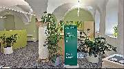 AOK PLUS - Filiale Olbernhau - GALLERY