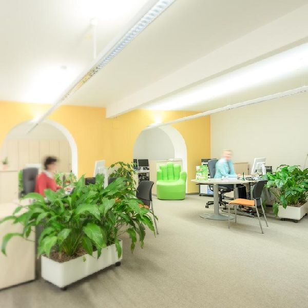 AOK PLUS - Filiale Wilthen - GALLERY