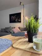 APART LIVING - GALLERY