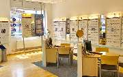 Apollo-Optik - Calbe (Saale) - August-Bebel-Str. - GALLERY