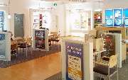 Apollo-Optik - Salzwedel (Hansestadt) Kaufland - GALLERY