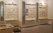 Apollo-Optik - Soest - Brüderstr. - GALLERY