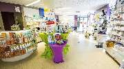 Apotheke am Kranen - 4