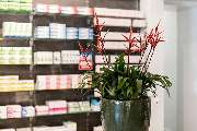 Apotheke am Rott - 4