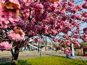 Apotheke in der Mehrzweckhalle - Aussenansicht der Apotheke in der Mehrzweckhalle