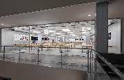 Apple OEZ - GALLERY