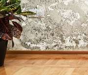AQUA CONCEPT GmbH - GALLERY
