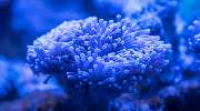 Aqua Inspiration Aquaristik Bonn - Aqua Inspiration