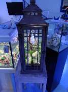 Aqua Inspiration Aquaristik Bonn - Aqua Inspiration